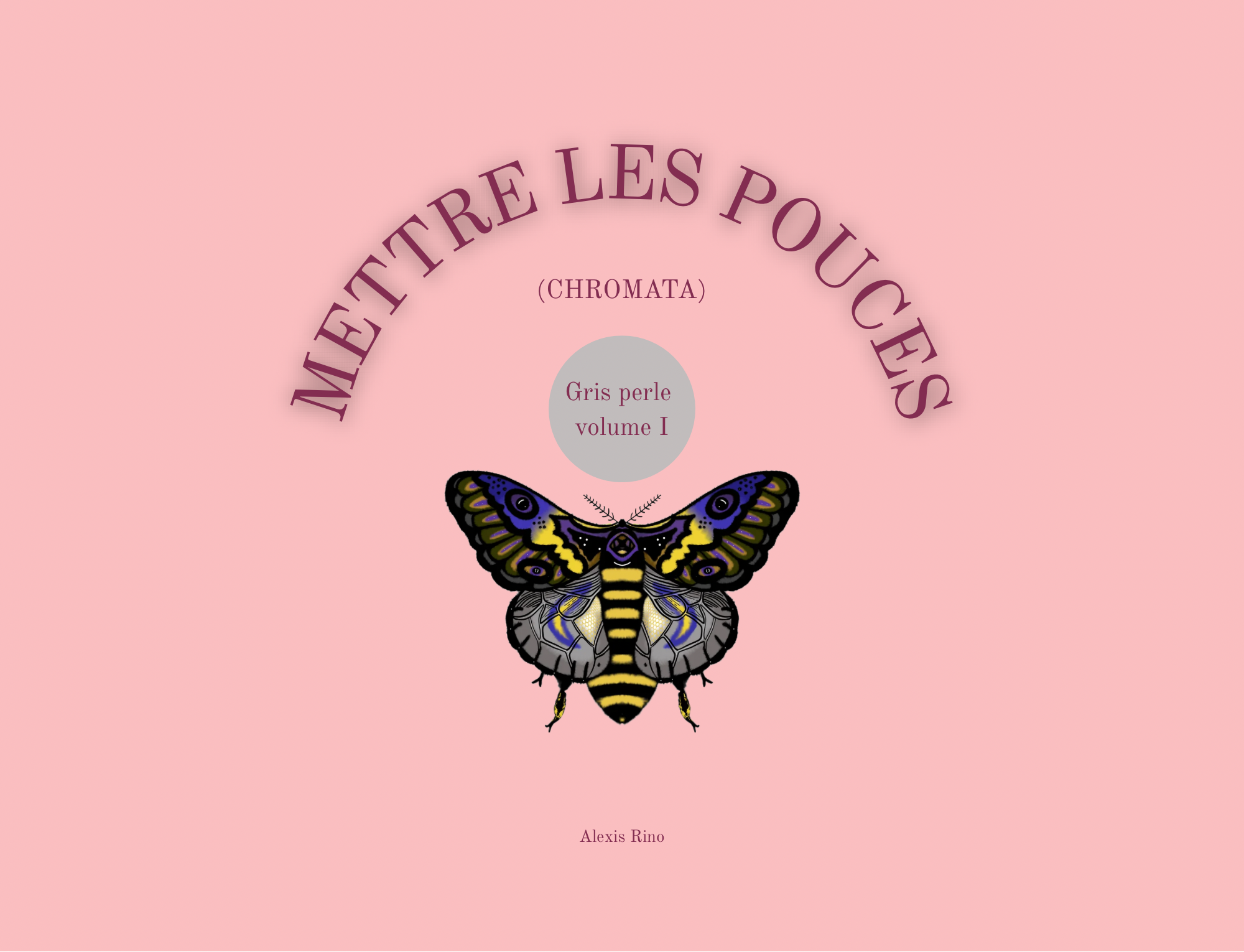 METTRE LES POUCES